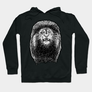 Lion King Hoodie